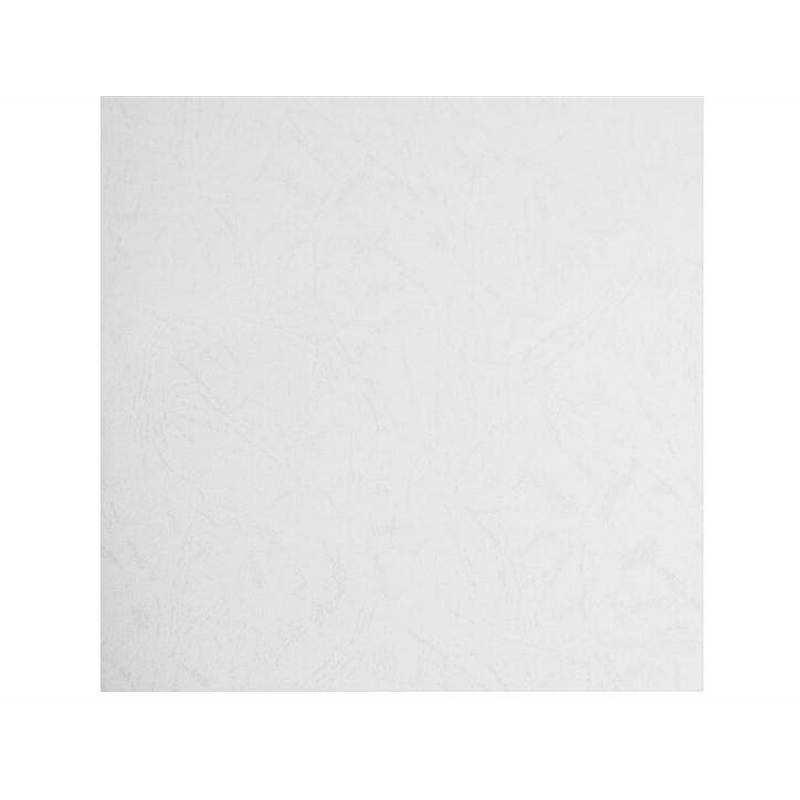 道顿 文件封面纸 180G A3++ 平面皮纹 白色 100张/包（包）