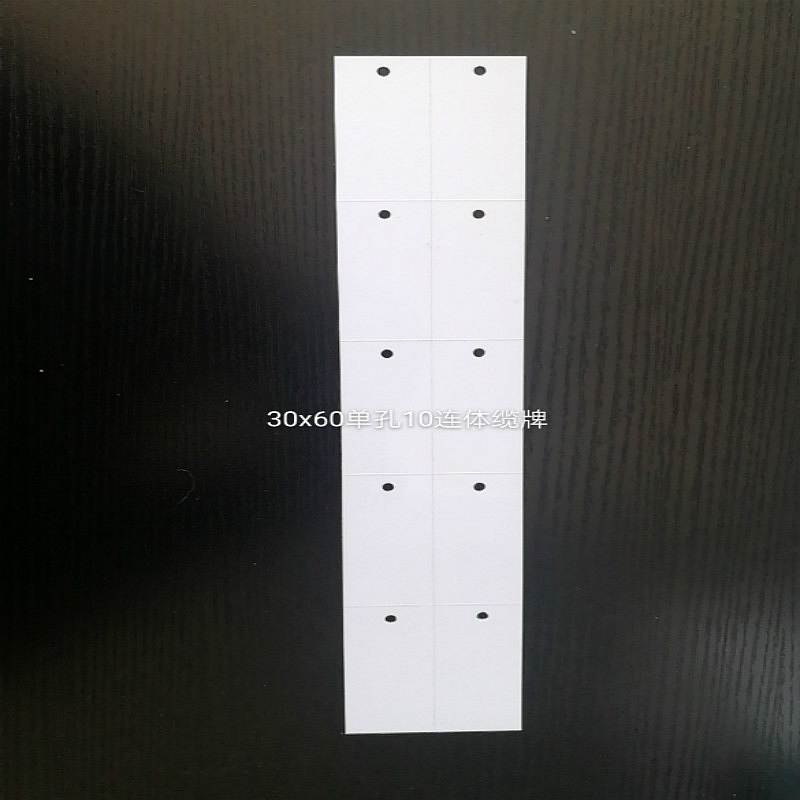丽标Y3060 1.0厚PVC挂牌白30*60（十连体单孔） 600片/盒(盒)